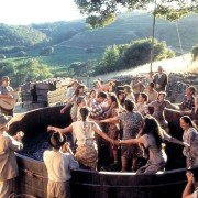 A Walk in the Clouds - galeria zdjęć - filmweb