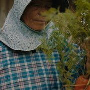 Live to 100: Secrets of the Blue Zones - galeria zdjęć - filmweb