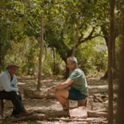 Live to 100: Secrets of the Blue Zones - galeria zdjęć - filmweb