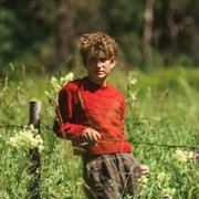 Ut og stjæle hester - galeria zdjęć - filmweb