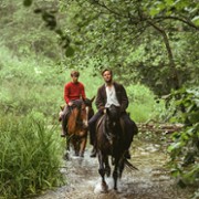 Ut og stjæle hester - galeria zdjęć - filmweb