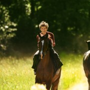 Ut og stjæle hester - galeria zdjęć - filmweb