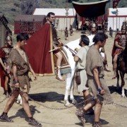 Spartacus - galeria zdjęć - filmweb