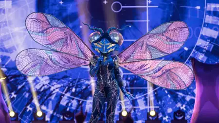 Mask Singer - galeria zdjęć - filmweb