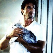The Specialist - galeria zdjęć - filmweb