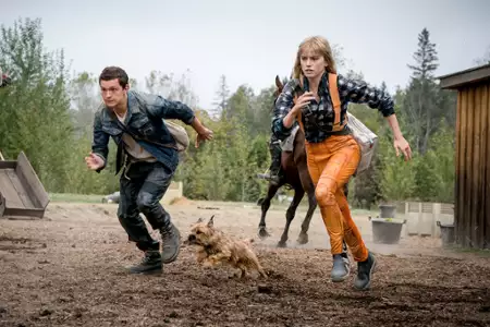 Ruchomy chaos - galeria zdjęć - filmweb