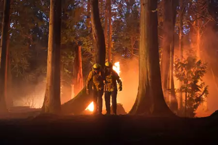 Fire Country - galeria zdjęć - filmweb