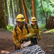 Fire Country - galeria zdjęć - filmweb