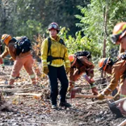 Fire Country - galeria zdjęć - filmweb