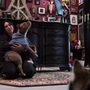 WWE: Unreal - galeria zdjęć - filmweb