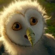 Legend of the Guardians: The Owls of Ga'Hoole - galeria zdjęć - filmweb