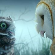 Legend of the Guardians: The Owls of Ga'Hoole - galeria zdjęć - filmweb