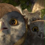 Legend of the Guardians: The Owls of Ga'Hoole - galeria zdjęć - filmweb