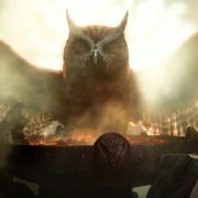 Legend of the Guardians: The Owls of Ga'Hoole - galeria zdjęć - filmweb