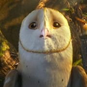 Legend of the Guardians: The Owls of Ga'Hoole - galeria zdjęć - filmweb