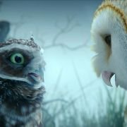 Legend of the Guardians: The Owls of Ga'Hoole - galeria zdjęć - filmweb