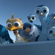 Gus, petit oiseau, grand voyage - galeria zdjęć - filmweb
