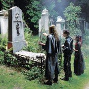 Noc żywych kretynów - galeria zdjęć - filmweb