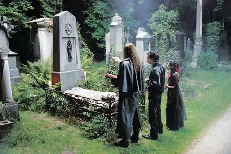 Noc żywych kretynów - galeria zdjęć - filmweb