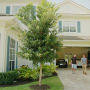 Going Home with Tyler Cameron - galeria zdjęć - filmweb