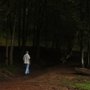 Gdzie się podziali wszyscy moi kochankowie? - galeria zdjęć