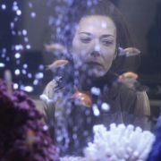 Drugie życie Lucii - galeria zdjęć - filmweb