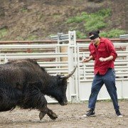 Jackass: Świry w akcji 2 - galeria zdjęć - filmweb