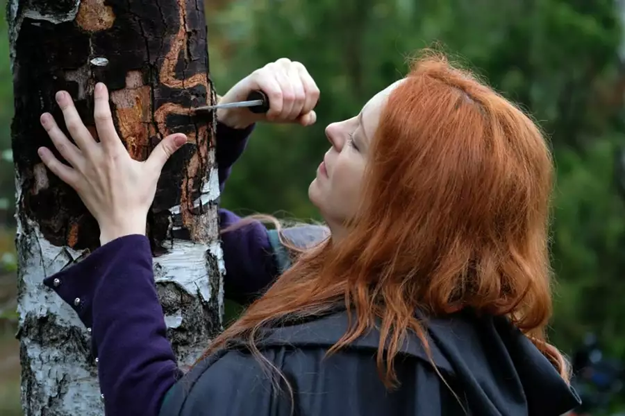 Korona królów - galeria zdjęć - filmweb