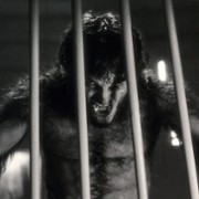 Werewolf by Night - galeria zdjęć - filmweb