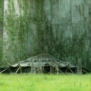 The Maze Runner - galeria zdjęć - filmweb