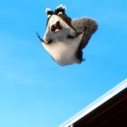 Open Season 2 - galeria zdjęć - filmweb