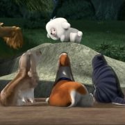 Open Season 2 - galeria zdjęć - filmweb