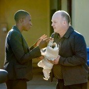 Cult - galeria zdjęć - filmweb