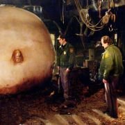 Robale - galeria zdjęć - filmweb