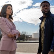 Człowiek z Toronto - galeria zdjęć - filmweb
