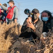 Człowiek z Toronto - galeria zdjęć - filmweb