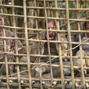 John Rambo - galeria zdjęć - filmweb