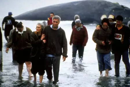 Jeździec wieloryb&oacute;w - galeria zdjęć - filmweb