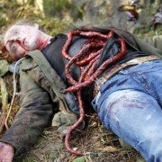Lasy - galeria zdjęć - filmweb