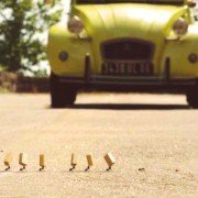 Minuscule - La vallée des fourmis perdues - galeria zdjęć - filmweb