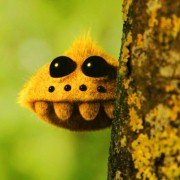 Minuscule - La vallée des fourmis perdues - galeria zdjęć - filmweb