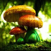 Minuscule - La vallée des fourmis perdues - galeria zdjęć - filmweb