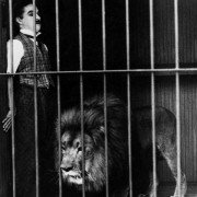 The Circus - galeria zdjęć - filmweb