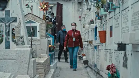 Prokuratorka - galeria zdjęć - filmweb