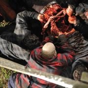 Przetrwanie żywych trupów - galeria zdjęć - filmweb
