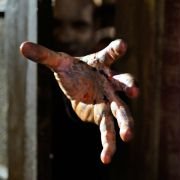 Survival of the Dead - galeria zdjęć - filmweb