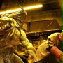 Hellboy - galeria zdjęć