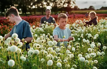 Blisko - galeria zdjęć - filmweb