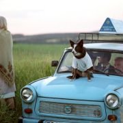 Everything Is Illuminated - galeria zdjęć - filmweb