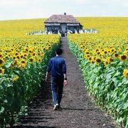 Everything Is Illuminated - galeria zdjęć - filmweb